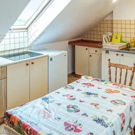 Beautiful In Apartament Polchowo