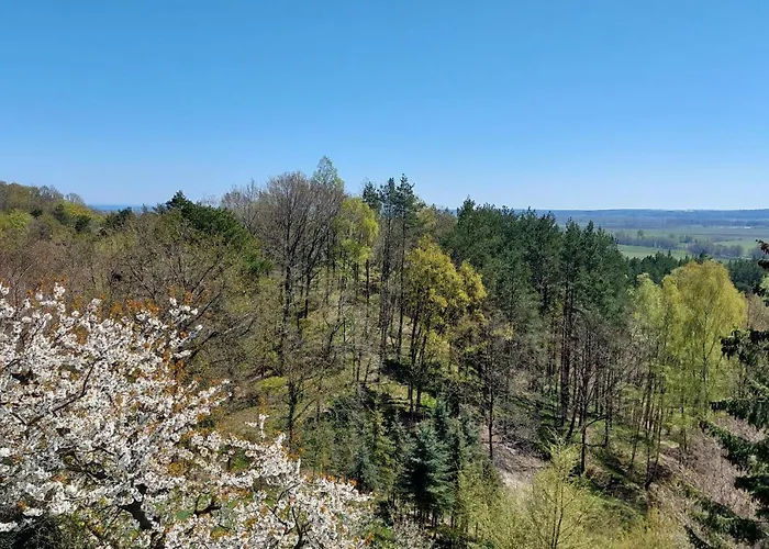 Apartmán Beautiful In Polchowo